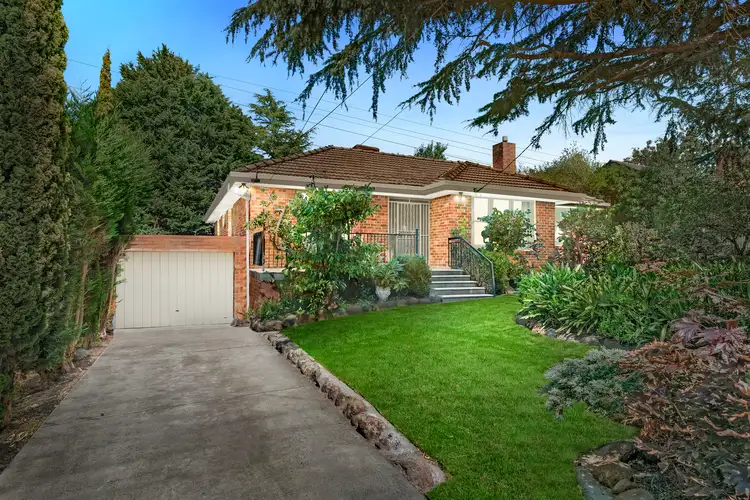 Main view of Homely house listing, 10 Birdie Street, Mount Waverley VIC 3149