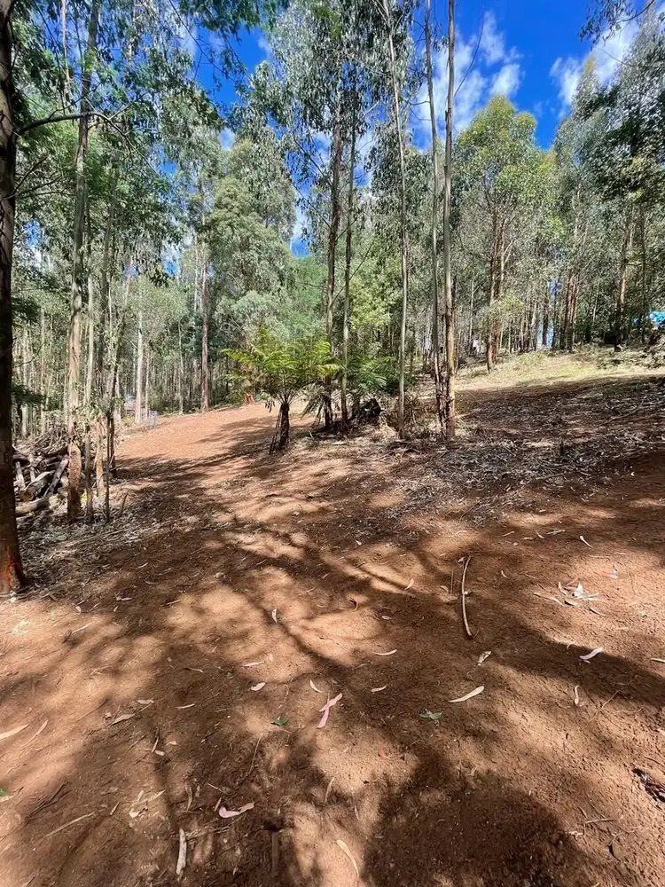 Fifth view of Homely land listing, 47 Bald Spur Road, Kinglake Central VIC 3757