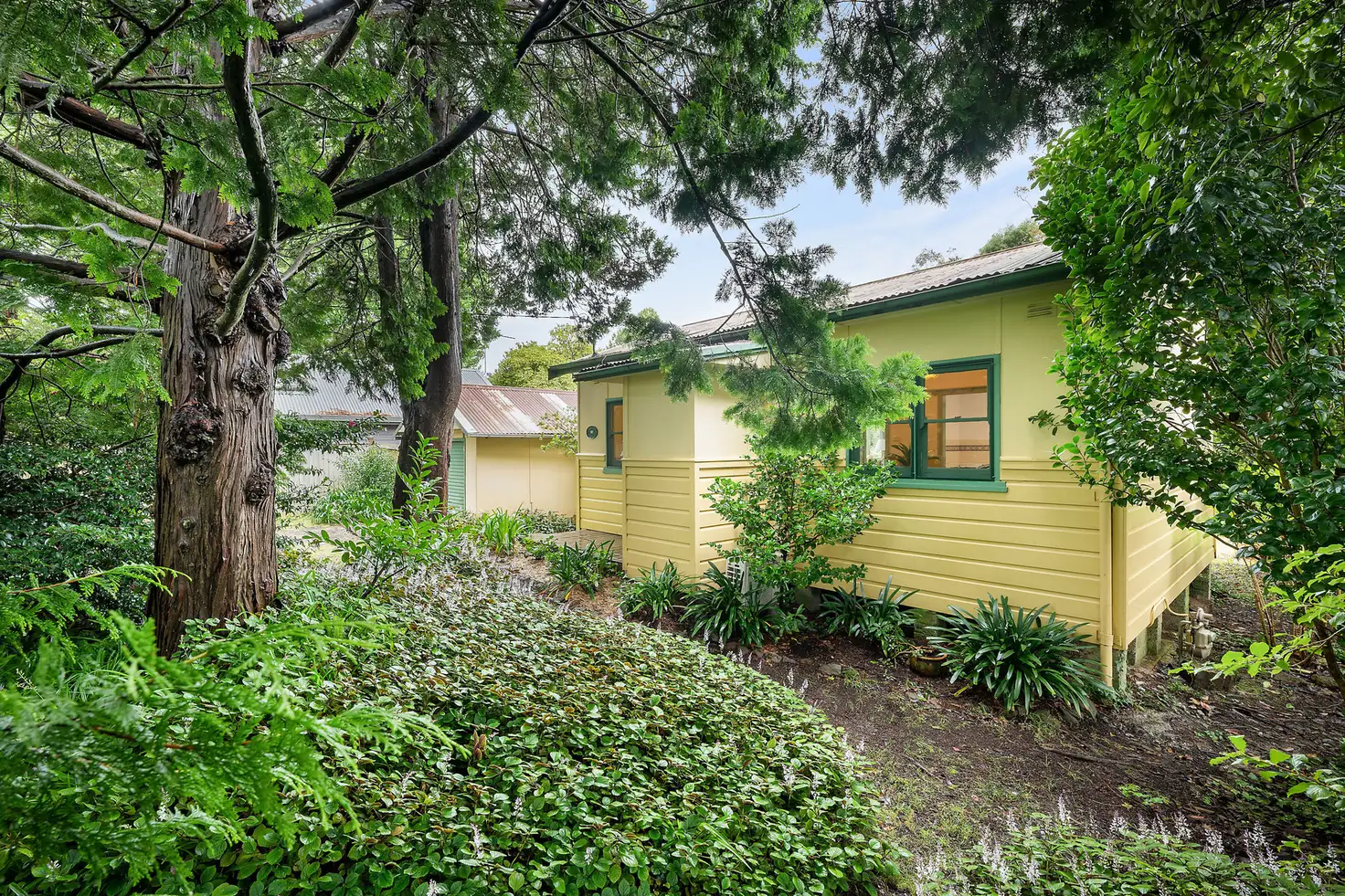Main view of Homely house listing, 6 Murphys Lane, Wentworth Falls NSW 2782