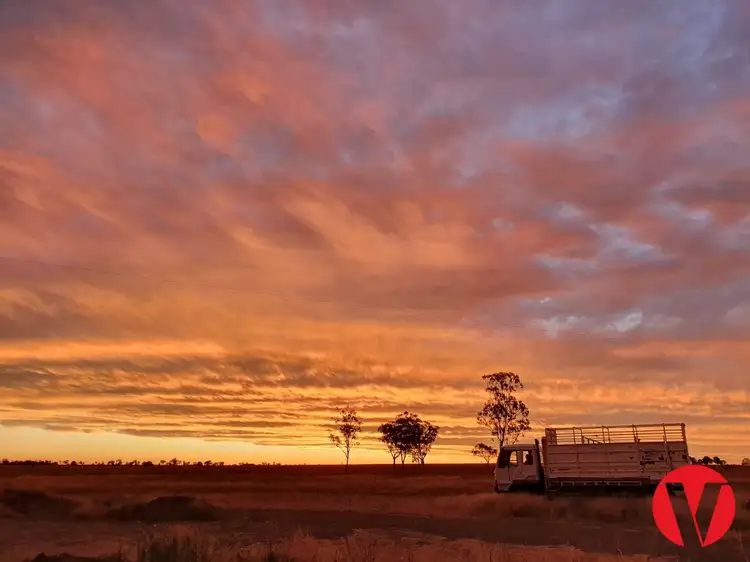 334 Bassett Lane, Roma QLD 4455