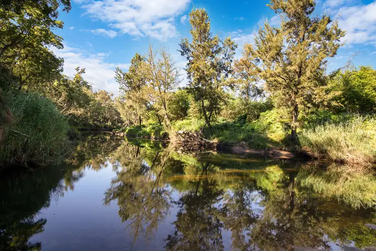 Third view of Homely land listing, Lot 62 Egans Road, Runnyford NSW 2536