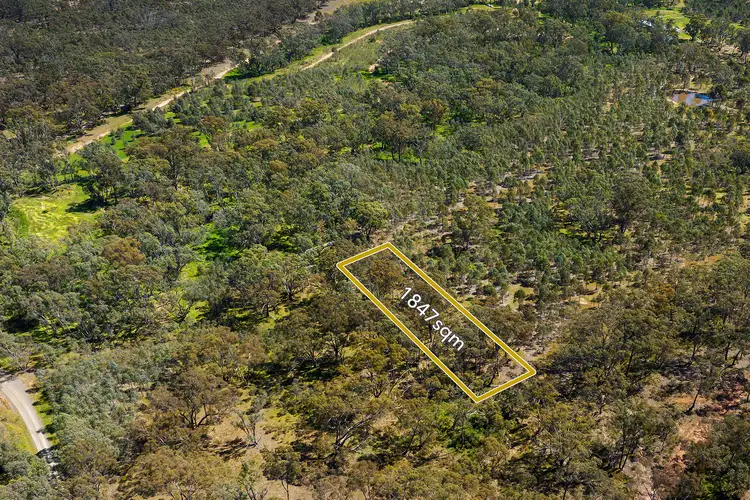 Third view of Homely rural property listing, CA 14, 15 Off Holts Flat Track, Redcastle VIC 3523