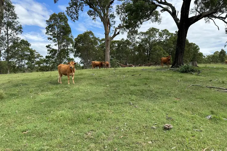 95/3709 Clarence Town Road, Dungog NSW 2420