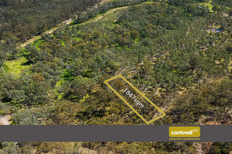 Main view of Homely rural property listing, CA 13, 8 S Off Holts Flat Track, Redcastle VIC 3523
