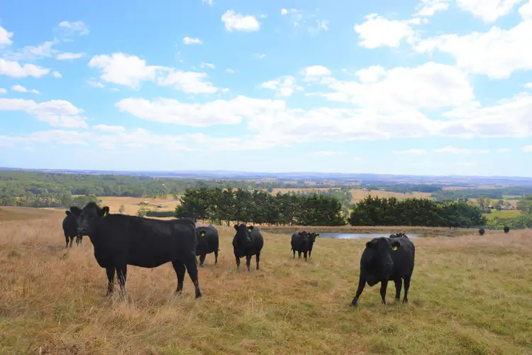 Third view of Homely rural property listing, 180 Old Koonwarra-Meeniyan Road, Koonwarra VIC 3954