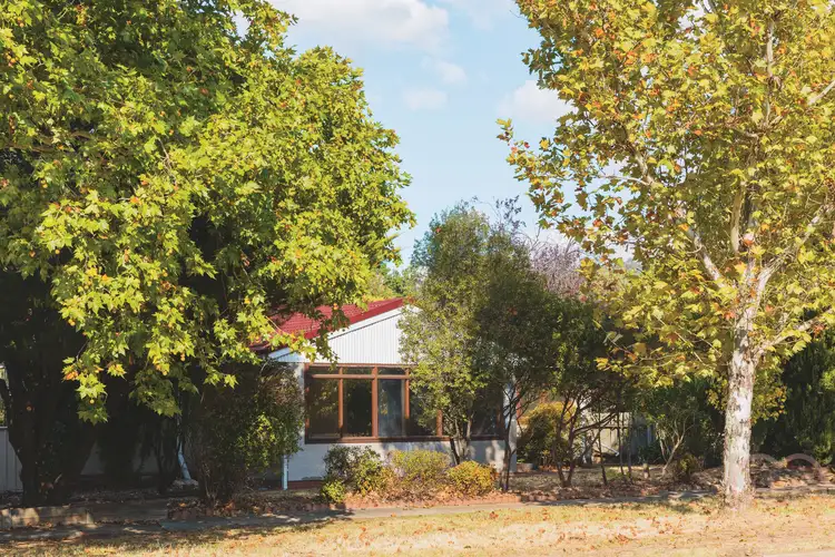 Third view of Homely house listing, 96 Cowper Street, Dickson ACT 2602