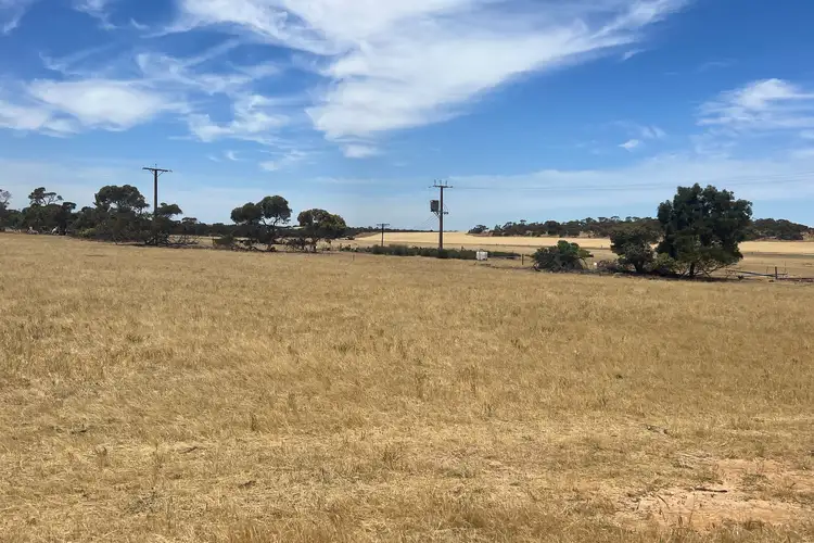 Fourth view of Homely rural property listing, 1140, 1148 Rosy Pine Road, Pinnaroo SA 5304