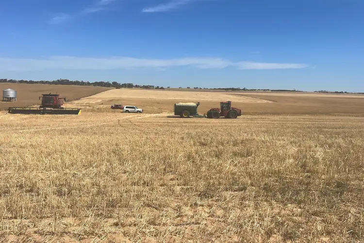 Sixth view of Homely rural property listing, 1140, 1148 Rosy Pine Road, Pinnaroo SA 5304