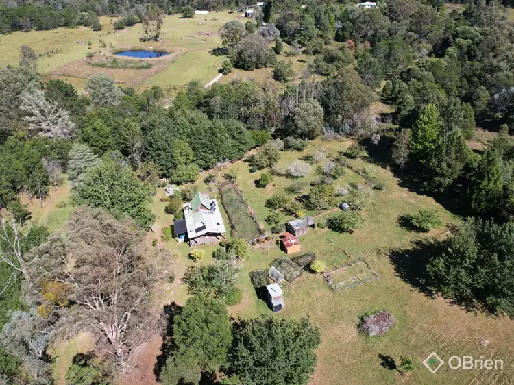 Main view of Homely house listing, 2180D Gelantipy Road, W Tree VIC 3885