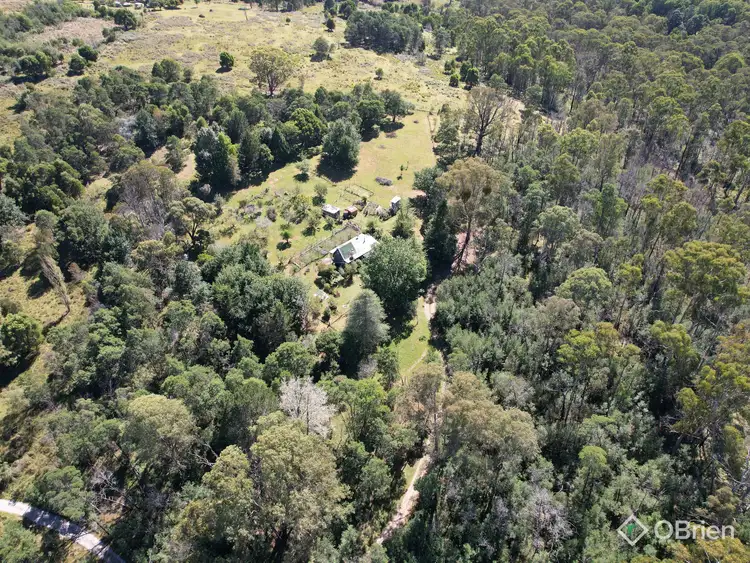 Third view of Homely house listing, 2180D Gelantipy Road, W Tree VIC 3885