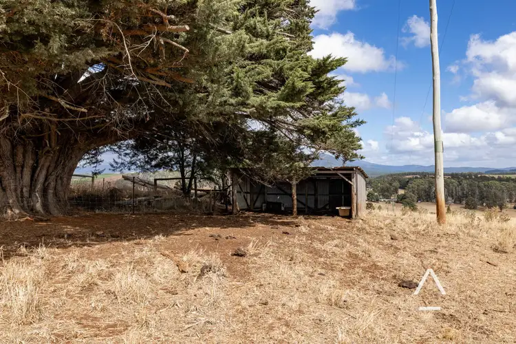 Fifth view of Homely rural property listing, 115 Jetsons Road, Scottsdale TAS 7260