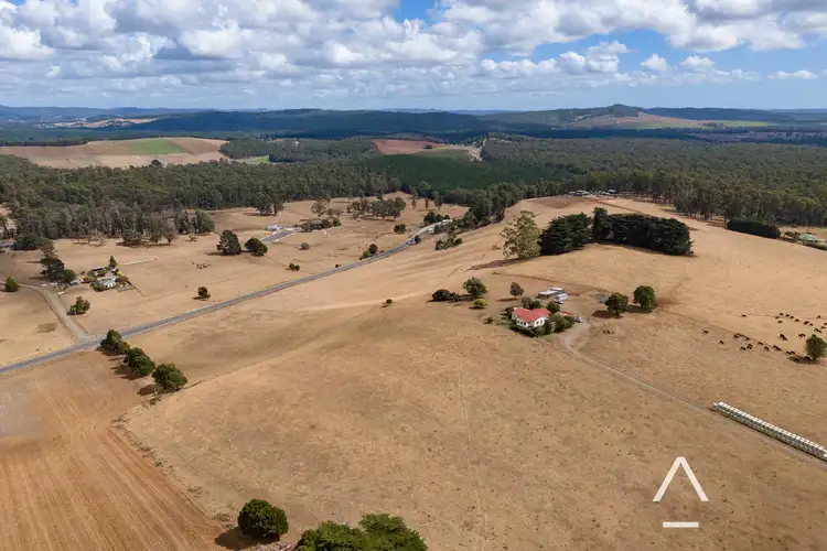 Sixth view of Homely rural property listing, 115 Jetsons Road, Scottsdale TAS 7260