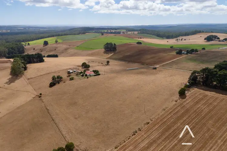 Seventh view of Homely rural property listing, 115 Jetsons Road, Scottsdale TAS 7260