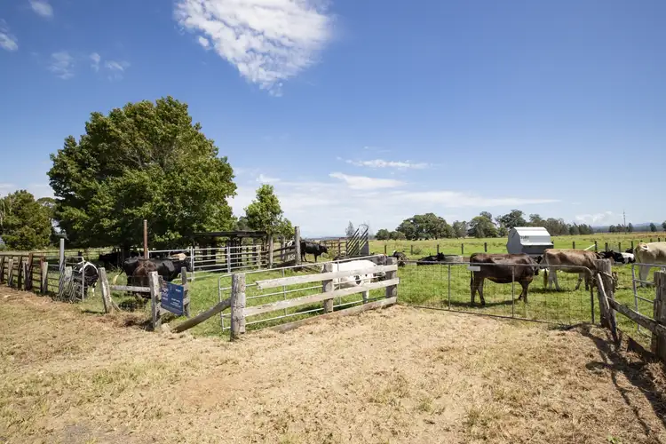 Fourth view of Homely rural property listing, LOT A & B Macleay Valley Way, Clybucca NSW 2440