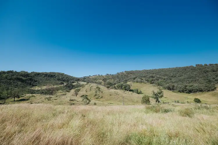 Fourth view of Homely rural property listing, 1885 Triamble Road, Triamble NSW 2850