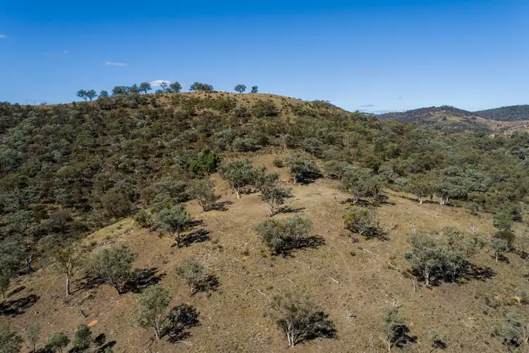 Sixth view of Homely rural property listing, 1625 Hill End Road, Mudgee NSW 2850