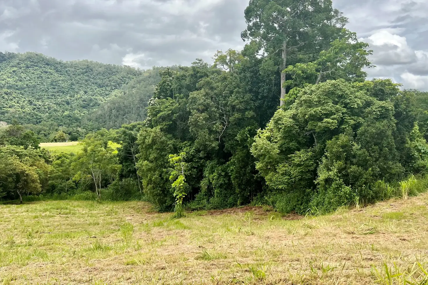 Main view of Homely land listing, 10 Windsong Place, Goldsborough QLD 4865