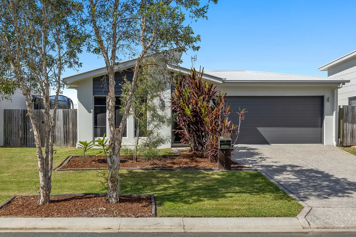 Main view of Homely house listing, 16 Petrel Crescent, Mountain Creek QLD 4557