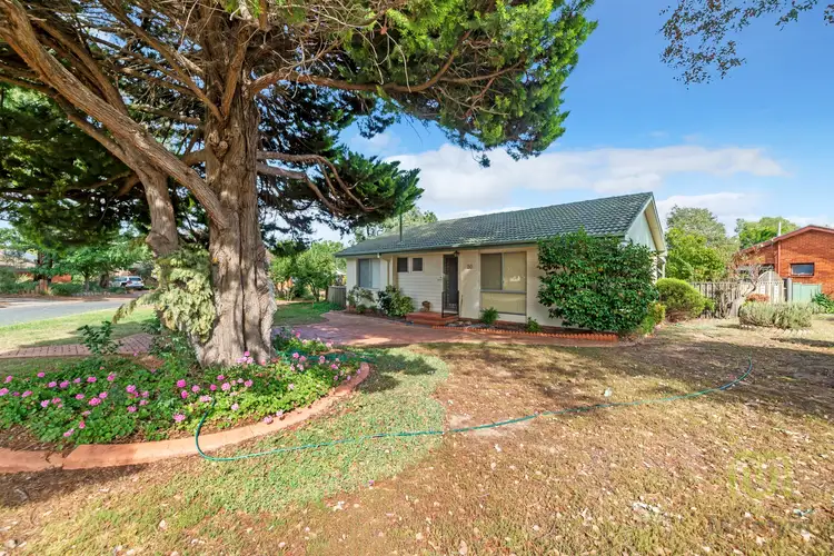 Main view of Homely house listing, 20 Dowling Street, Watson ACT 2602
