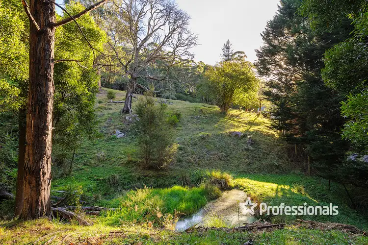 Seventh view of Homely house listing, 110 Scotchmans Creek Road, Warburton VIC 3799