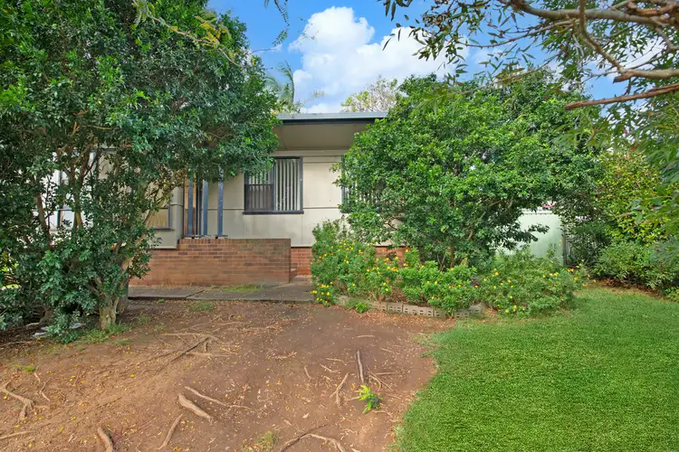 31 Pineleigh Road, Lalor Park NSW 2147