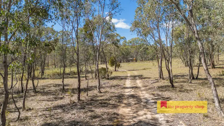 Third view of Homely rural property listing, 543 Clarkes Creek Road, Mudgee NSW 2850