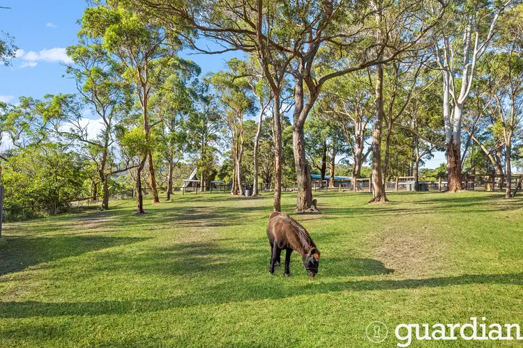 Second view of Homely rural property listing, 31 Bay Road, Arcadia NSW 2159