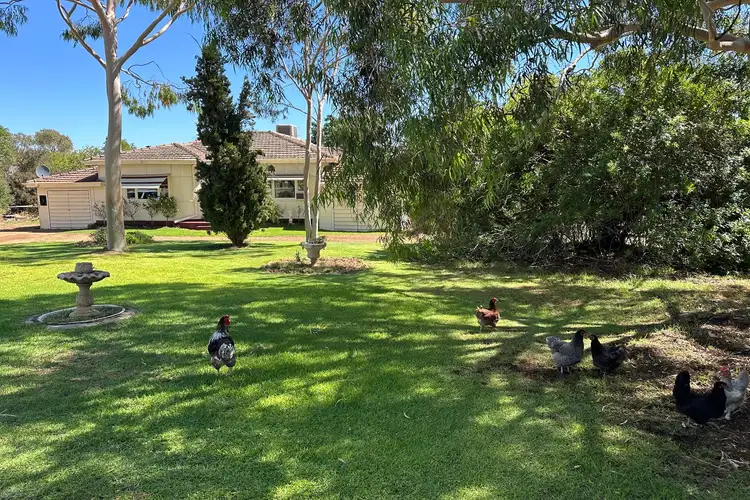 Second view of Homely house listing, 37 Newcastle Street, York WA 6302