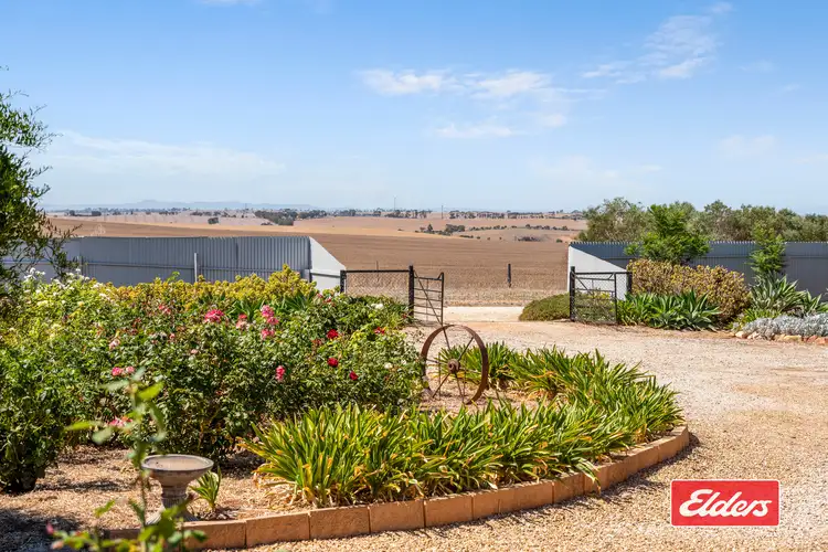 Fourth view of Homely house listing, 47 Sandow Road, Hamley Bridge SA 5401