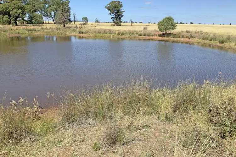 Second view of Homely rural property listing, 602 Eumungerie Road, Narromine NSW 2821