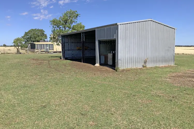 Sixth view of Homely rural property listing, 602 Eumungerie Road, Narromine NSW 2821