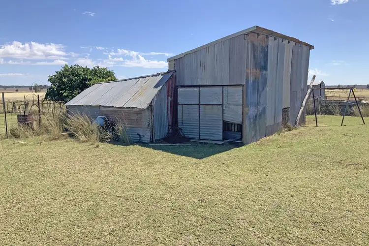 Seventh view of Homely rural property listing, 602 Eumungerie Road, Narromine NSW 2821