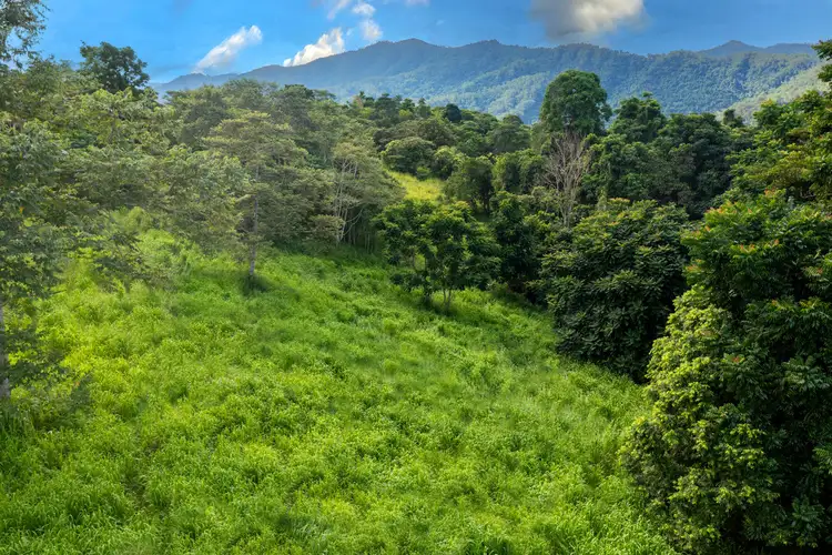 Third view of Homely land listing, 295 Catalano Access, Goldsborough QLD 4865
