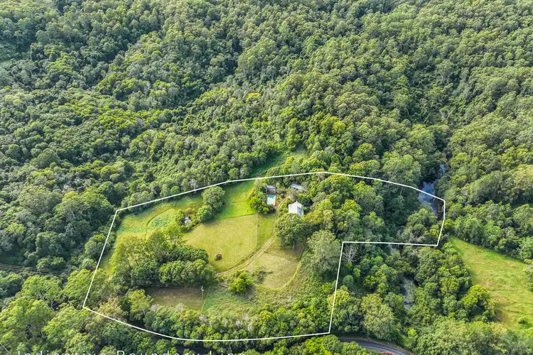 1091 Bowraville Road, Bellingen NSW 2454