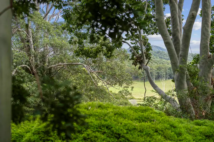 Third view of Homely rural property listing, 1091 Bowraville Road, Bellingen NSW 2454