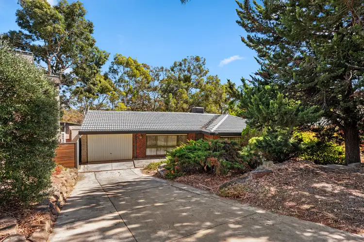 6 Melaleuca Drive, Athelstone SA 5076