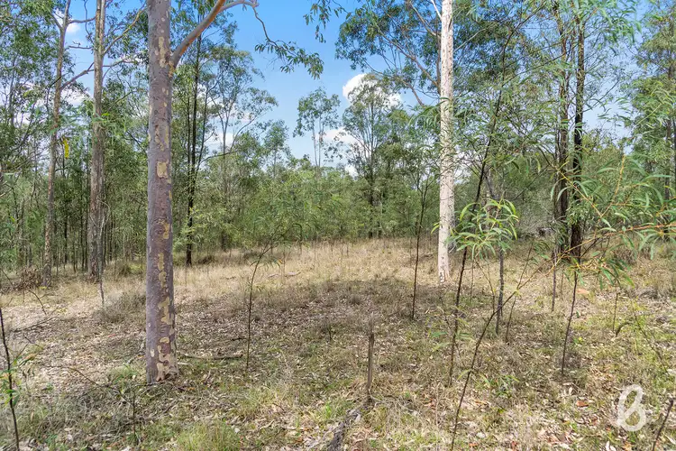 Fifth view of Homely rural property listing, Site 8 Glendonbrook Road & Blind Creek Road, Singleton NSW 2330