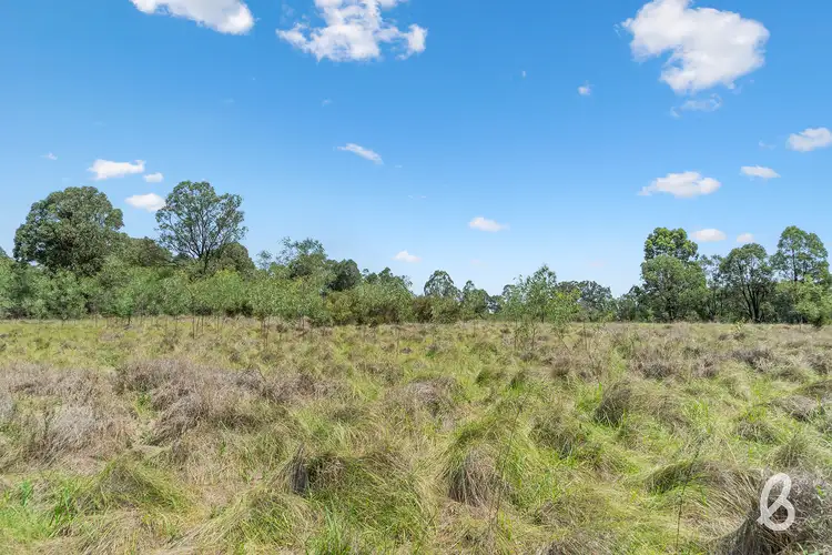 Seventh view of Homely rural property listing, Site 7 Glendonbrook Road, Singleton NSW 2330