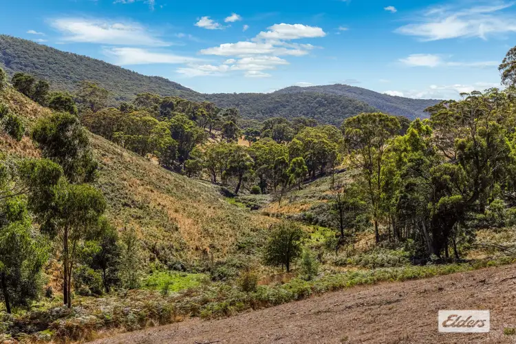 Main view of Homely rural property listing, Tantaraboo Road, Willowmavin VIC 3764