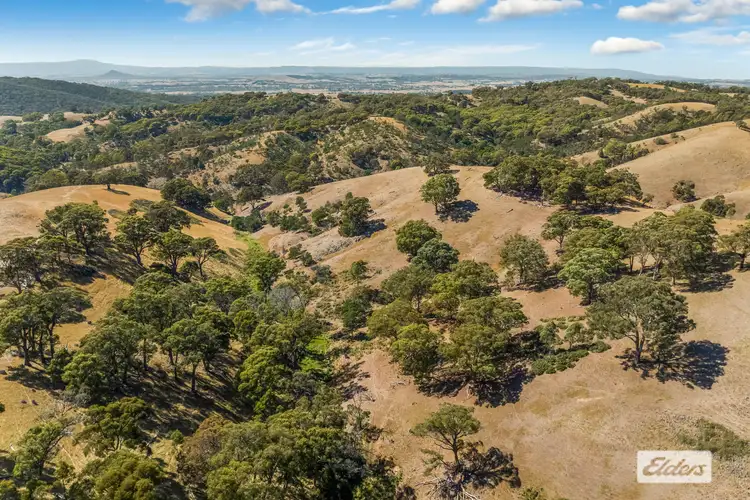 Second view of Homely rural property listing, Tantaraboo Road, Willowmavin VIC 3764