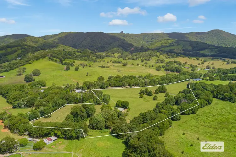 Main view of Homely house listing, 256 Stokers Road, Stokers Siding NSW 2484