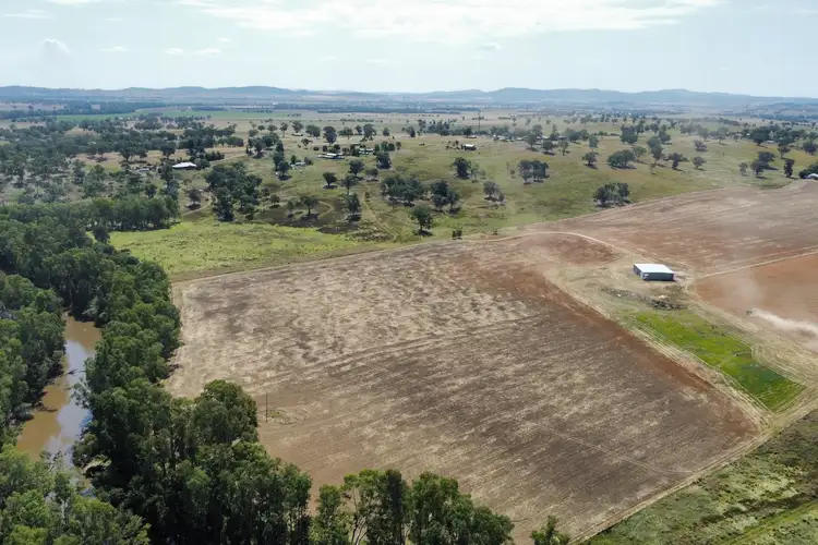 Main view of Homely rural property listing, Cultowa Road, Canowindra NSW 2804