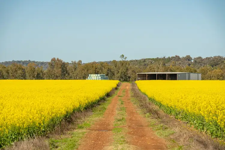 Fourth view of Homely rural property listing, Cultowa Road, Canowindra NSW 2804