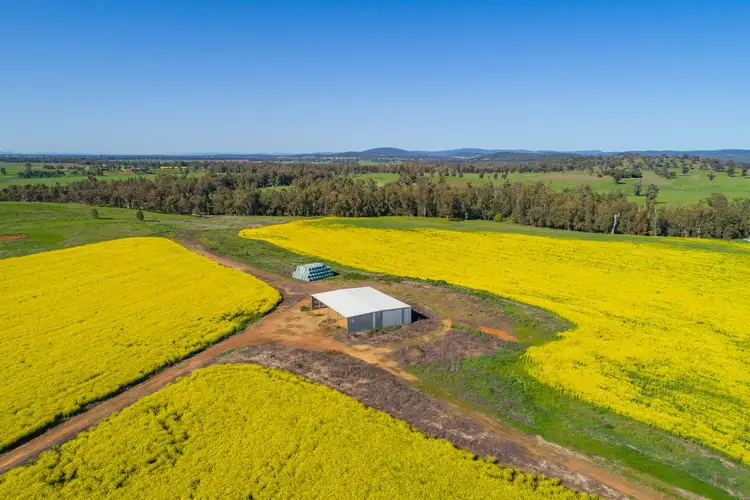 Fifth view of Homely rural property listing, Cultowa Road, Canowindra NSW 2804