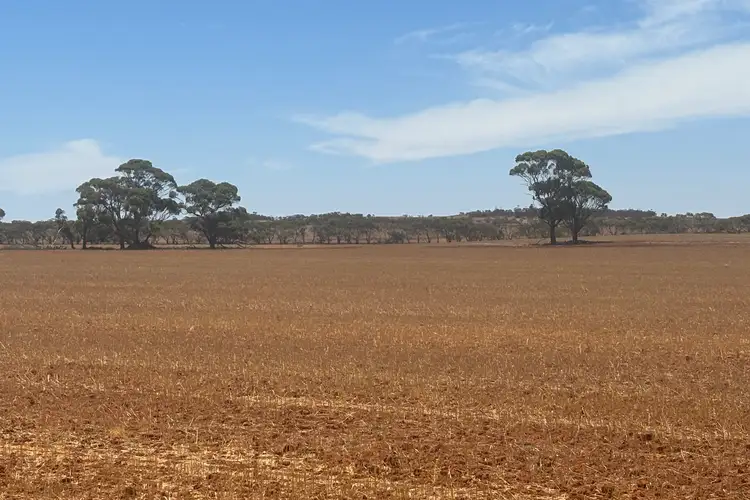 5778 Mullewa-Wubin Road, Canna WA 6627