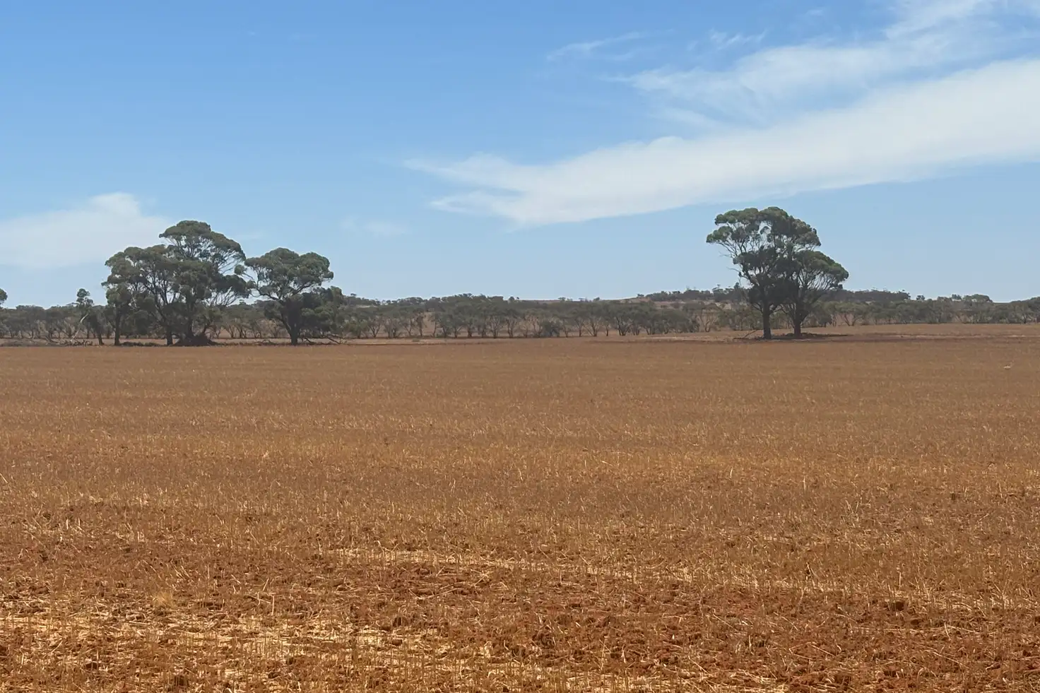 Main view of Homely rural property listing, 5778 Mullewa-Wubin Road, Canna WA 6627