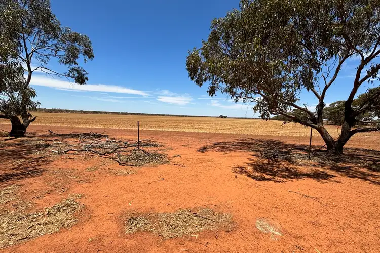 Fifth view of Homely rural property listing, 5778 Mullewa-Wubin Road, Canna WA 6627