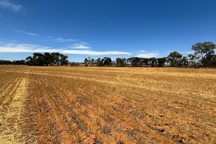 Sixth view of Homely rural property listing, 5778 Mullewa-Wubin Road, Canna WA 6627