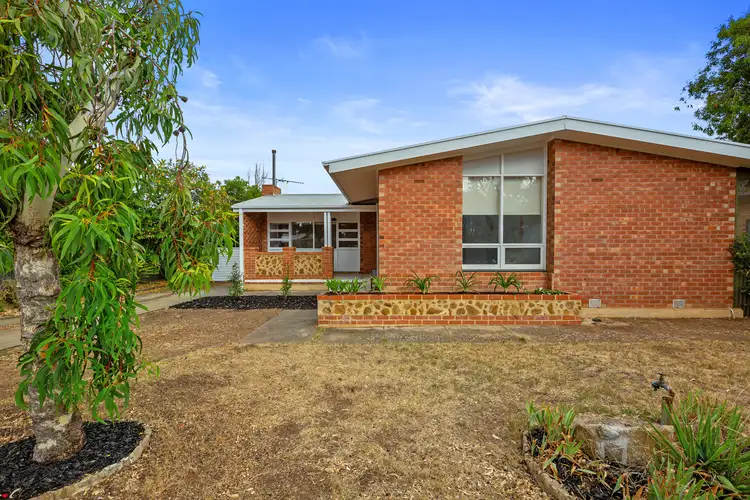 185 Swanport Road, Murray Bridge SA 5253
