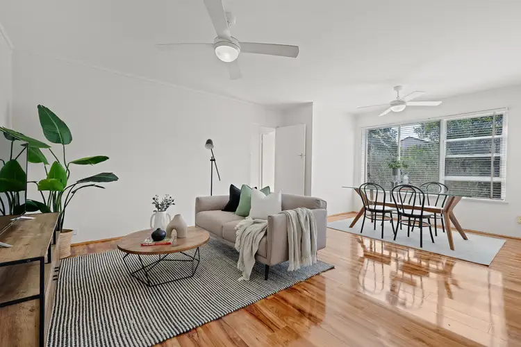 6/8 Floss Street, Hurlstone Park NSW 2193